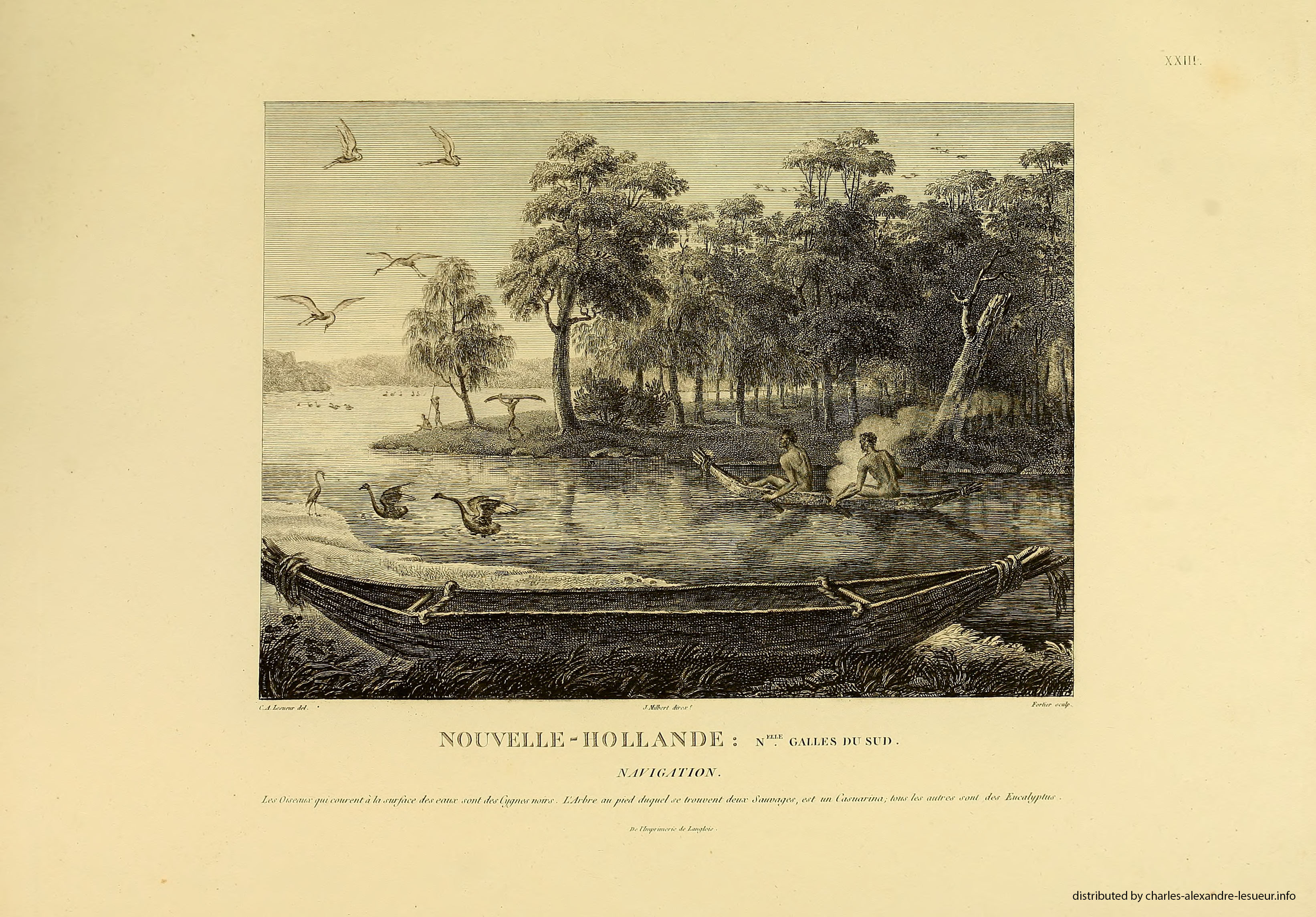 Atlas 1807, Lesueur & Petit, planche 23