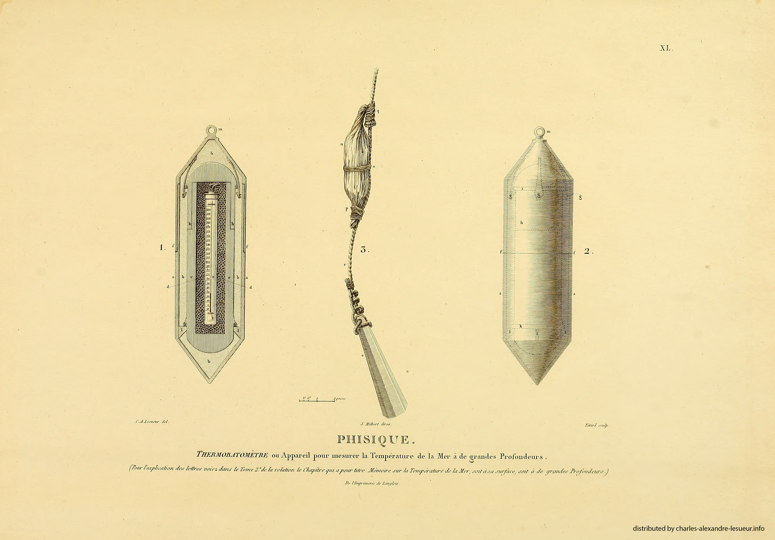 Atlas 1807, Lesueur & Petit, planche 40