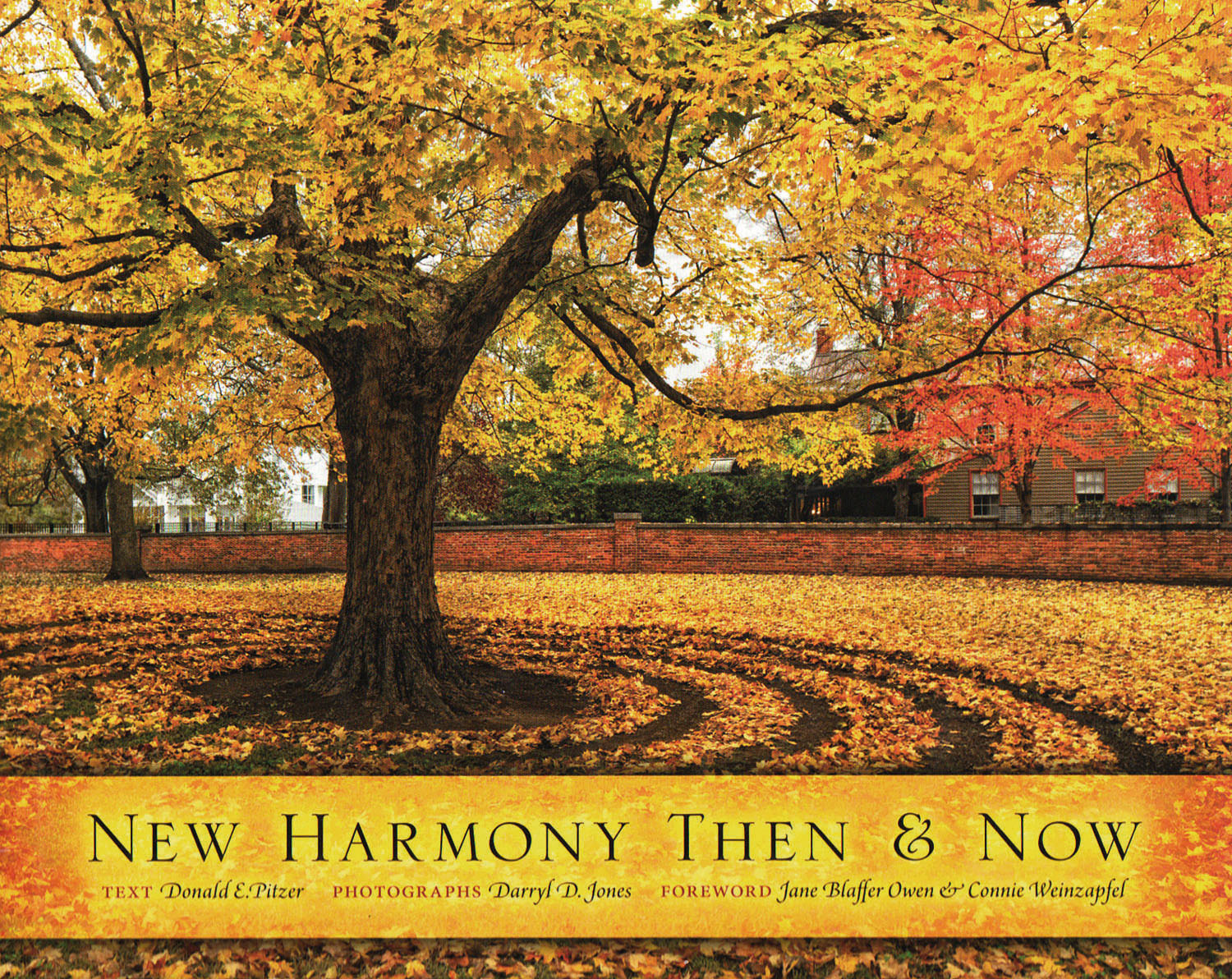 Cover of the book Eyewitness to Utopia by Bauke Ritsert Rinsma and Charles-Alexandre Lesueur